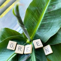 Close-up of green leaves with text green 