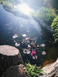 Scenic view of lake amidst rocks