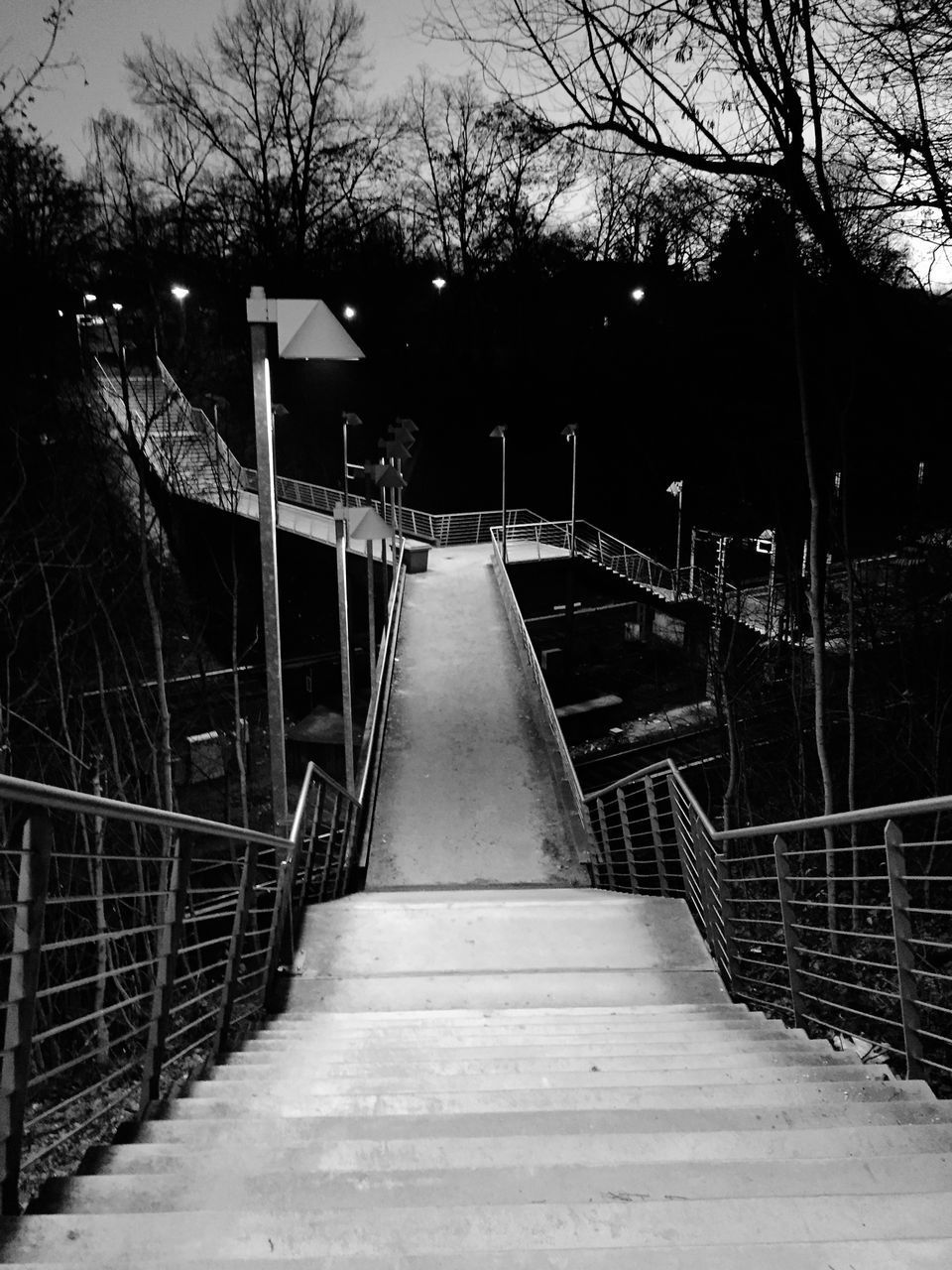 railing, the way forward, tree, built structure, footbridge, architecture, steps, diminishing perspective, bare tree, steps and staircases, bridge - man made structure, connection, staircase, walkway, vanishing point, wood - material, outdoors, branch, metal, day
