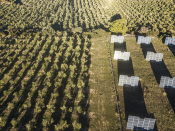 Aerial view of solar panels in a rural landscape in spain