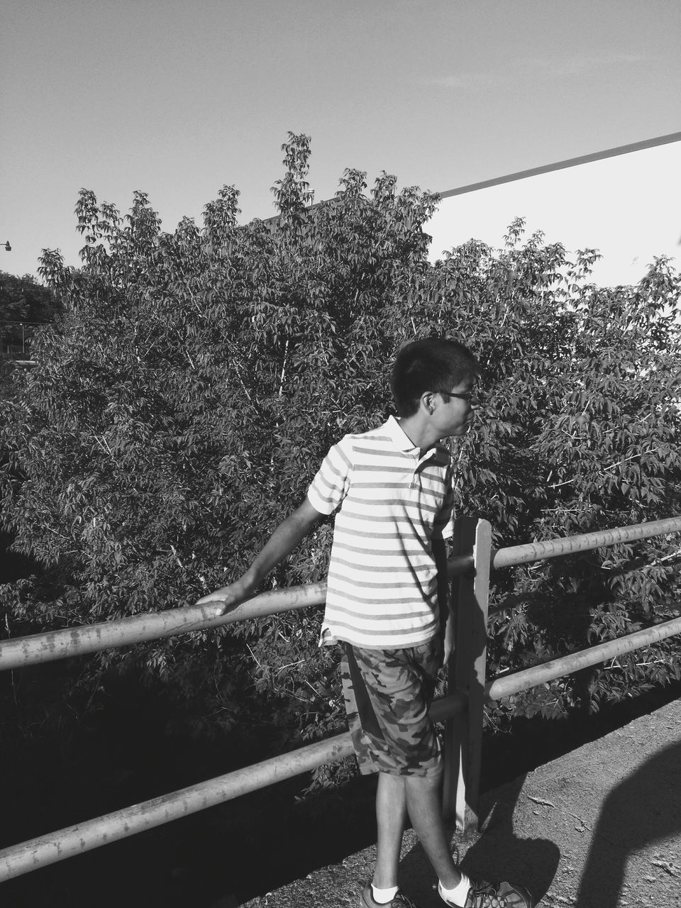 BOY STANDING BY RAILING AGAINST TREE