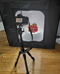 Tilt image of telephone booth on hardwood floor at home