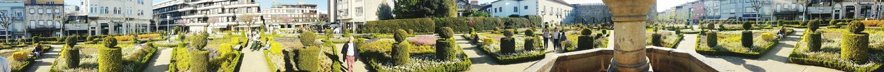 Panoramic shot of plants hanging outside building