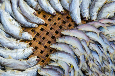 High angle view of fish arranged on wicker container for sale at market