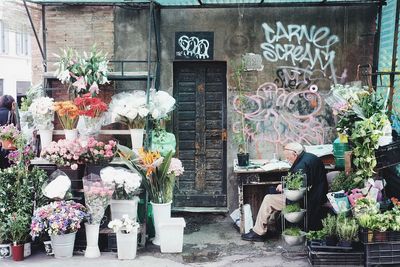 Potted plants at market stall