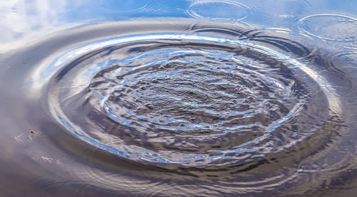 High angle view of glass of water