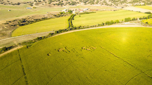 High angle view of agricultural field