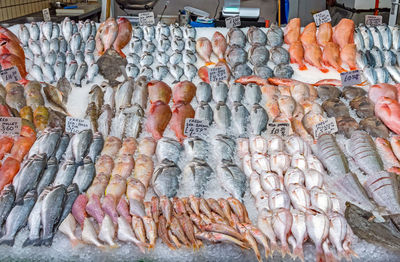 Great choice of fresh fish for sale at a market in brixton, london