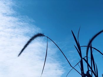 Low angle view of silhouette tree against blue sky