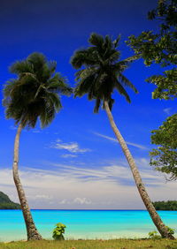 Scenic view of sea against blue sky