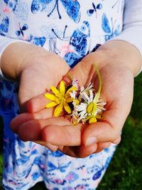 Midsection of woman holding flowering plant