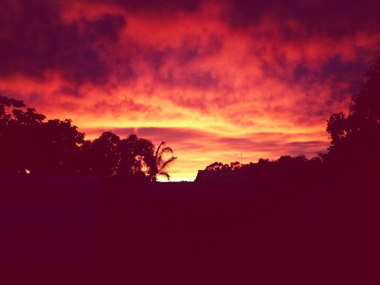 sunset, silhouette, sky, tree, orange color, cloud - sky, beauty in nature, scenics, dramatic sky, tranquility, tranquil scene, nature, cloudy, cloud, building exterior, built structure, house, idyllic, dark, architecture