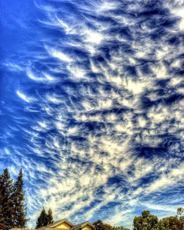 sky, cloud - sky, low angle view, tree, cloudy, beauty in nature, scenics, tranquility, blue, nature, cloud, tranquil scene, cloudscape, idyllic, outdoors, no people, day, silhouette, weather, high section