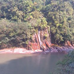 Scenic view of waterfall against trees