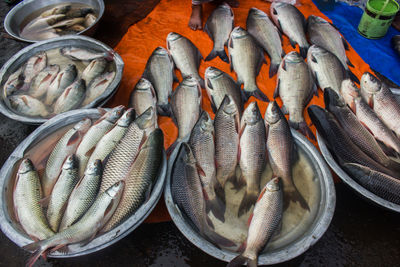 High angle view of fish for sale at market