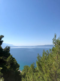 Scenic view of sea against clear blue sky