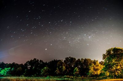 Low angle view of trees against sky at night