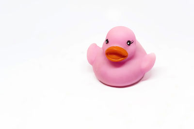 Close-up of stuffed toy over white background