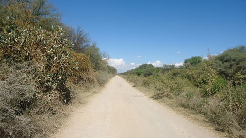 Dirt road amidst trees against clear sky