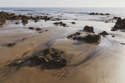 Scenic view of sea shore against sky