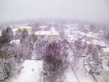 Snow covered trees against sky