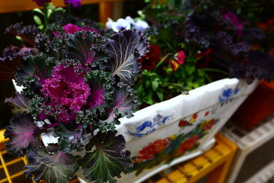 Close-up of flowers