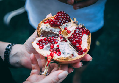 Ripe pomegranate in the hands. close image of a opened up pomegranate.