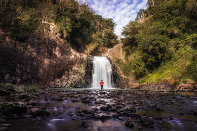 Rear view of woman looking at waterfall in forest