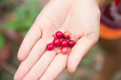 Close-up of hand holding berries