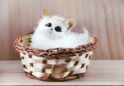 Toy cat in wicker basket on table at home