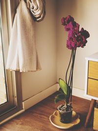 Roses in vase on table at home