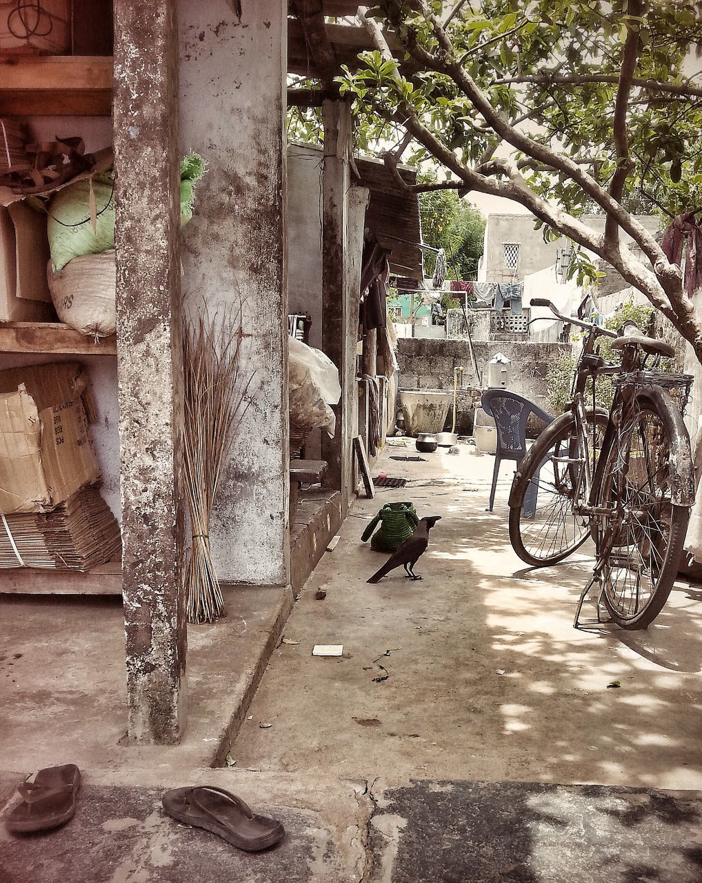 tree, outdoors, city, day, land vehicle, nature, low section, architecture, no people