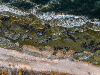 High angle view of starfish on rock in sea