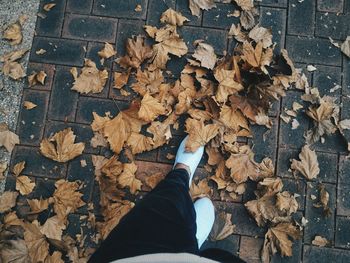 Low section of person walking on maple leaves