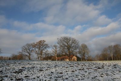 Bare trees on snow covered field against sky