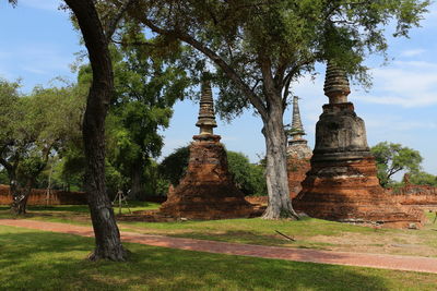 Trees in a temple