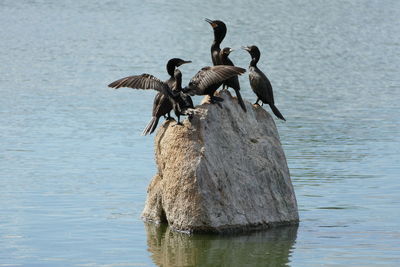 Meeting in the rock