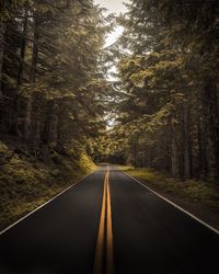 Empty road along trees