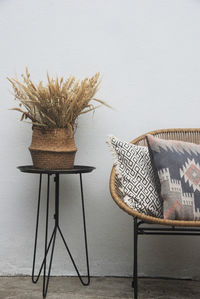 Potted plant on table against wall at home