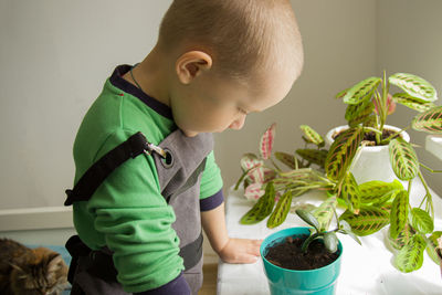 Side view of boy looking at flower pot