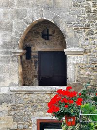 Close-up of red flowering plant on wall of building