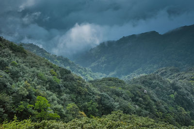 Scenic view of tree mountains against sky