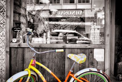 Close-up of yellow flower
