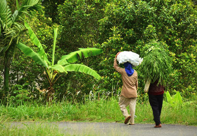 Rear view of women walking on road against trees