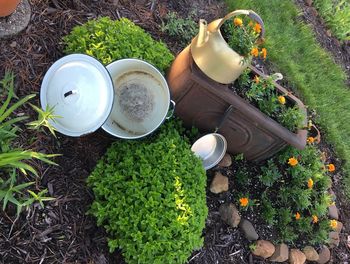 High angle view of potted plants in yard