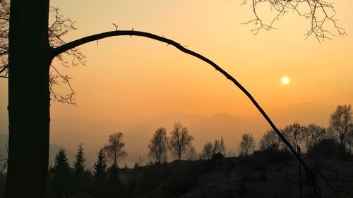 Silhouette trees against sky during sunset