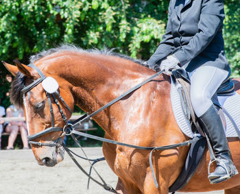 Man riding horse outdoors