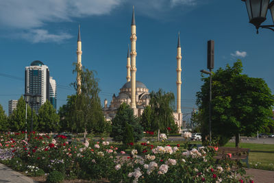 View of flowering plants and buildings against cloudy sky