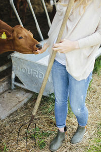 Pregnant woman on farm