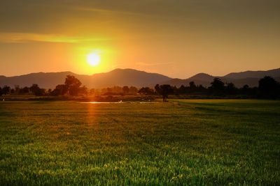 Scenic view of field against sky during sunset